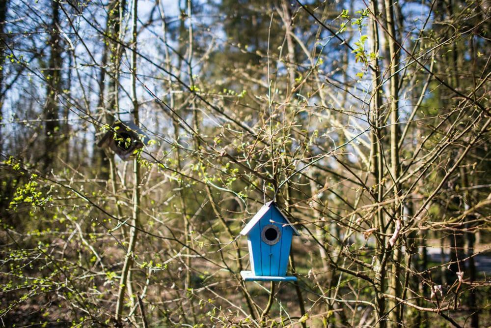 Bungalow 131 Villa Durbuy Kültér fotó